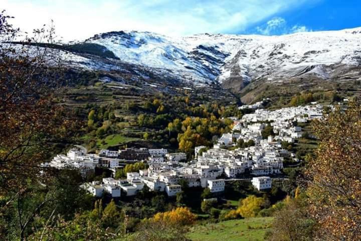 Apartamentos Casa Fermina - A 2 Horas De Las Pistas De Esqui Trevélez Eksteriør billede